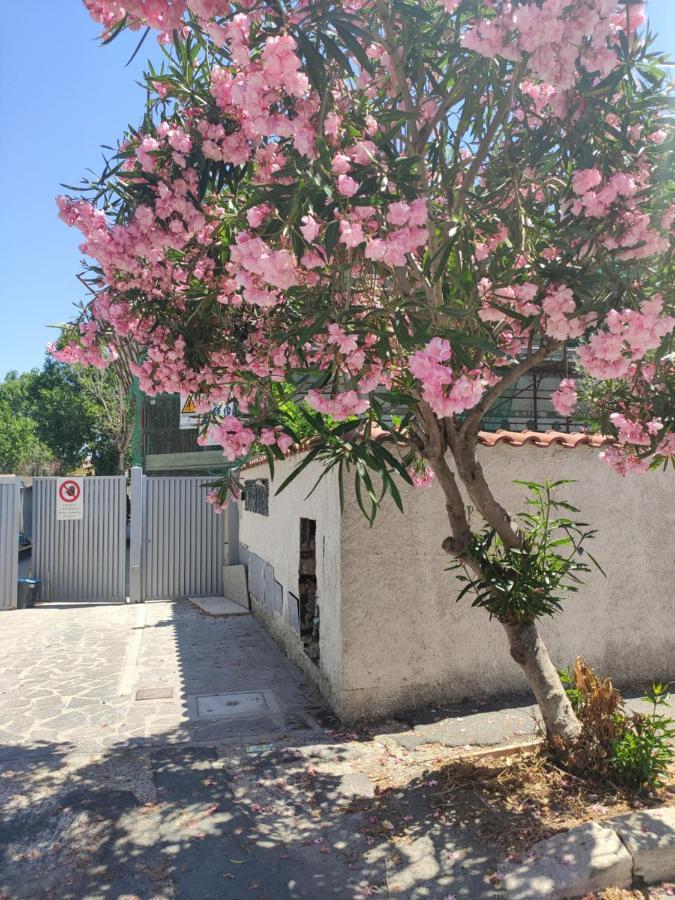 Casa Vacanze Fiumicino Luaran gambar